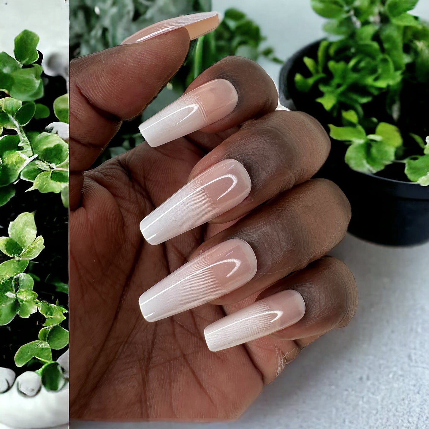 Fingers adorned with long coffin-shaped press-on nails in white ombre nude color, set against a background of a plant pot